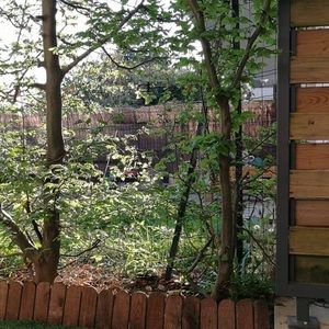 Meet your Posher, Abdelkrim